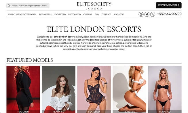 escort website design